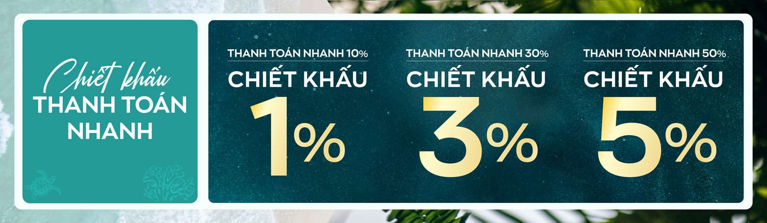 Lịch thanh toán nhanh Bảng chi tiết lịch biểu thanh toán nhanh nhận chiết khấu lên đến 5%