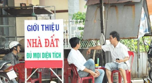 Cò đất
