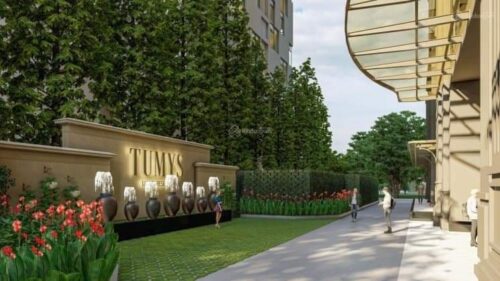 Tumys phu my tieu canh 2