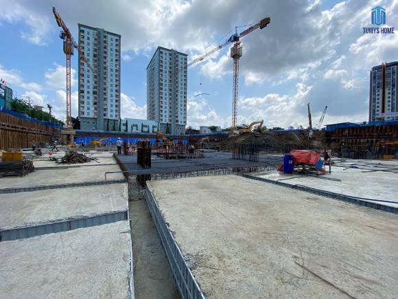 tumys phu my phap ly