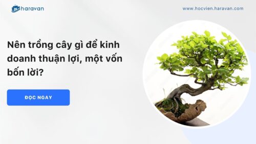 Nen-trong-gi-de-kinh-doanh-anh-bia_82c91c7c39a64386a25bfd2d44702ab4