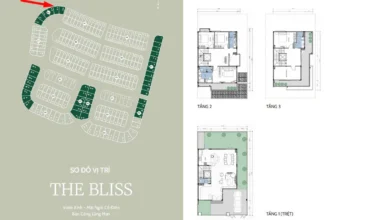 Thiết Kế The Bliss 2