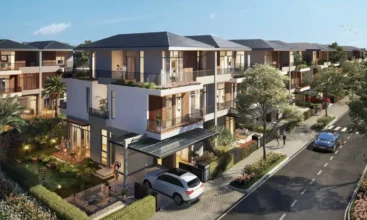 Thiết Kế The Bliss