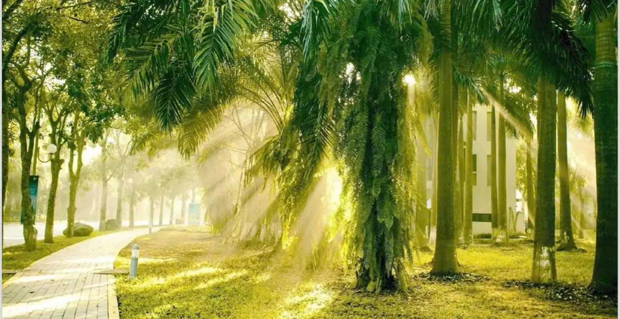 Môi Trường Sống 6